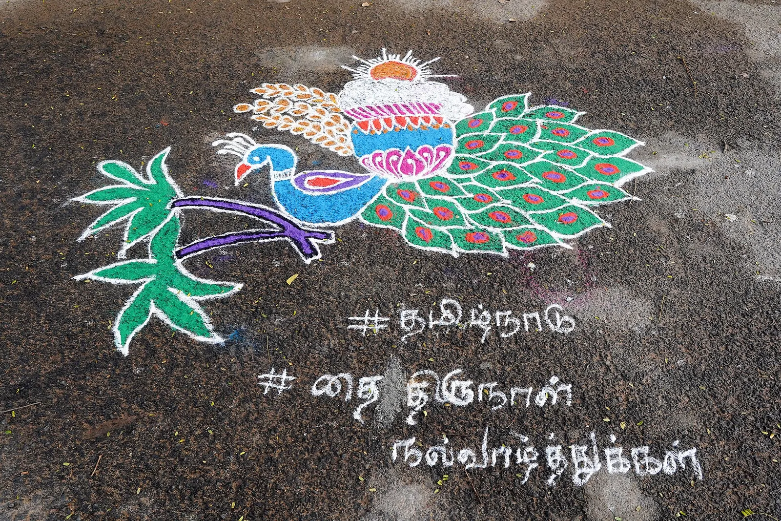Pongal