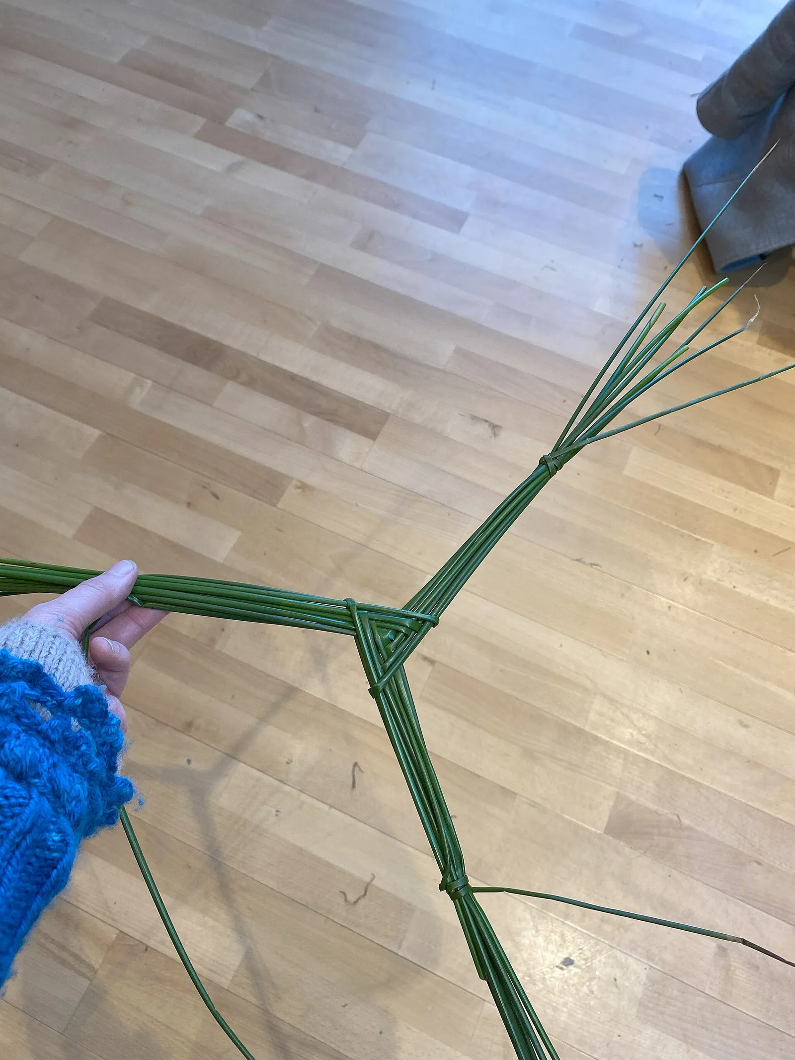 Saint Brigid's Day