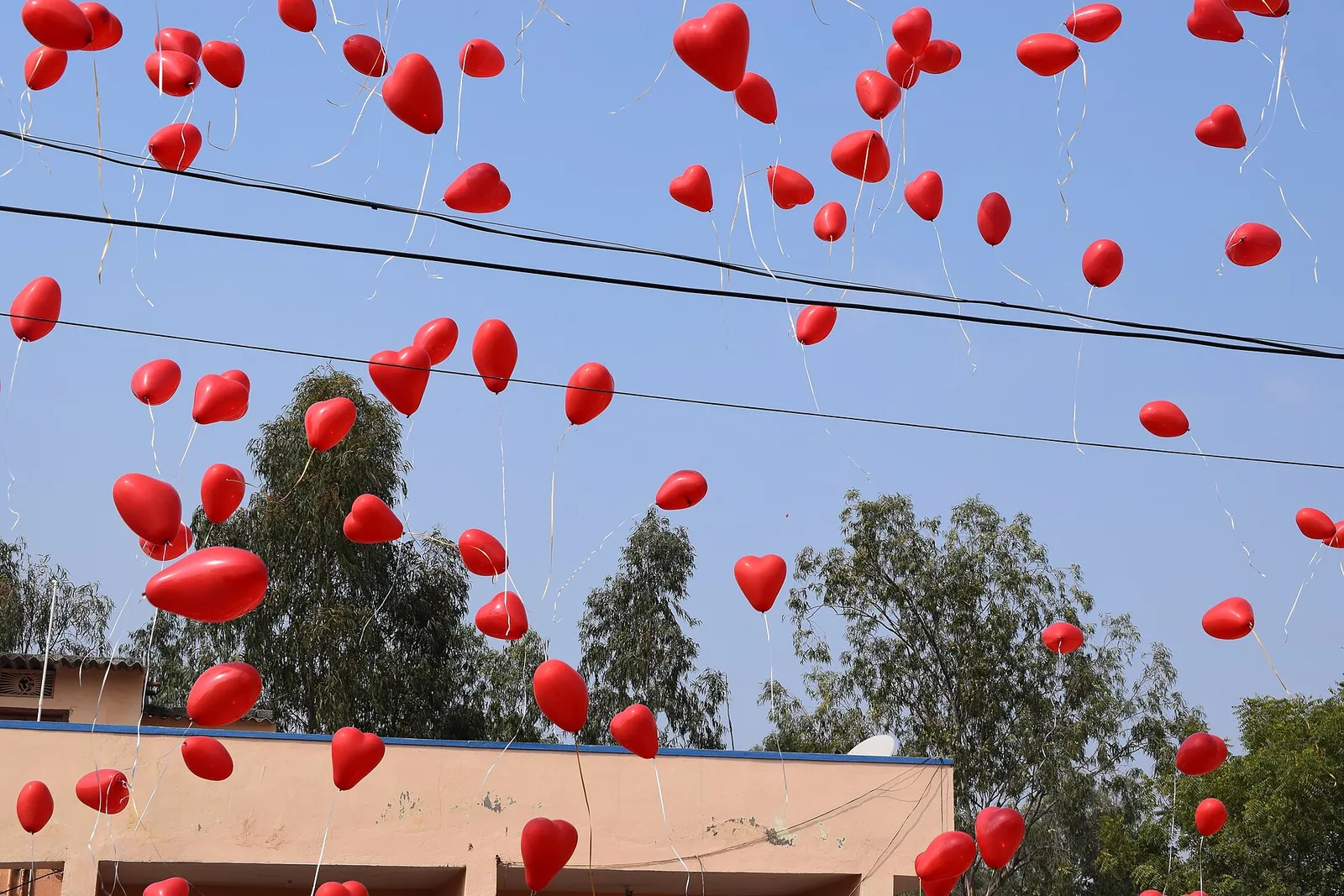 Global Love Day
