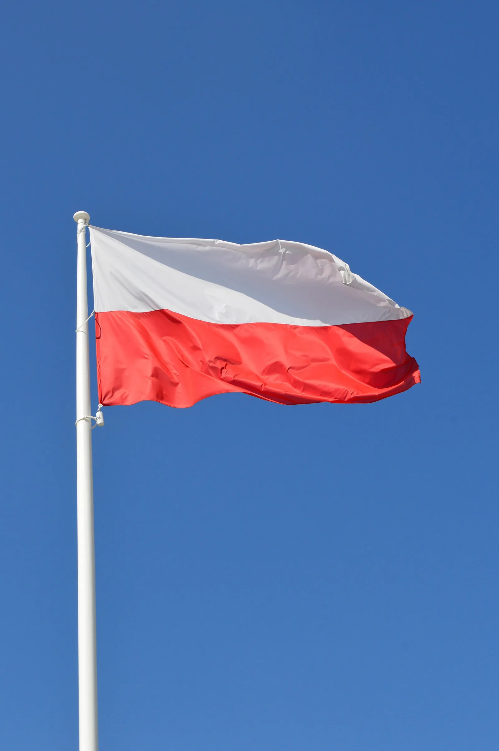 Polish National Flag Day